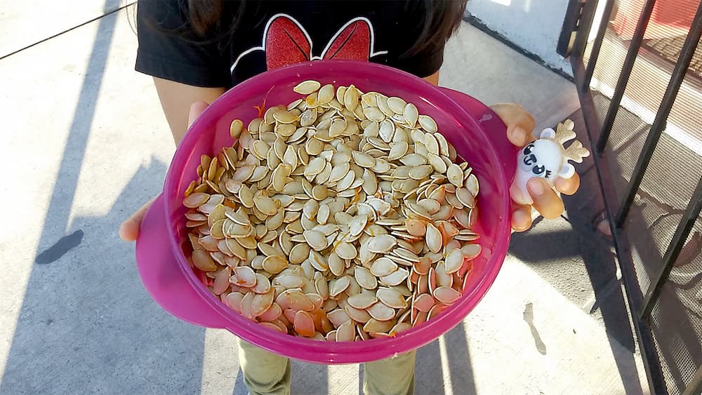 A child holding a bowl of pumpkin seeds.