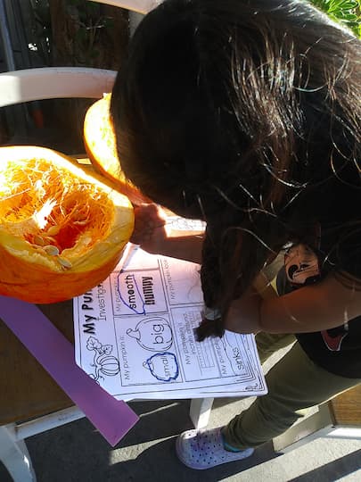 A child working on a pumpkin investigation activity.
